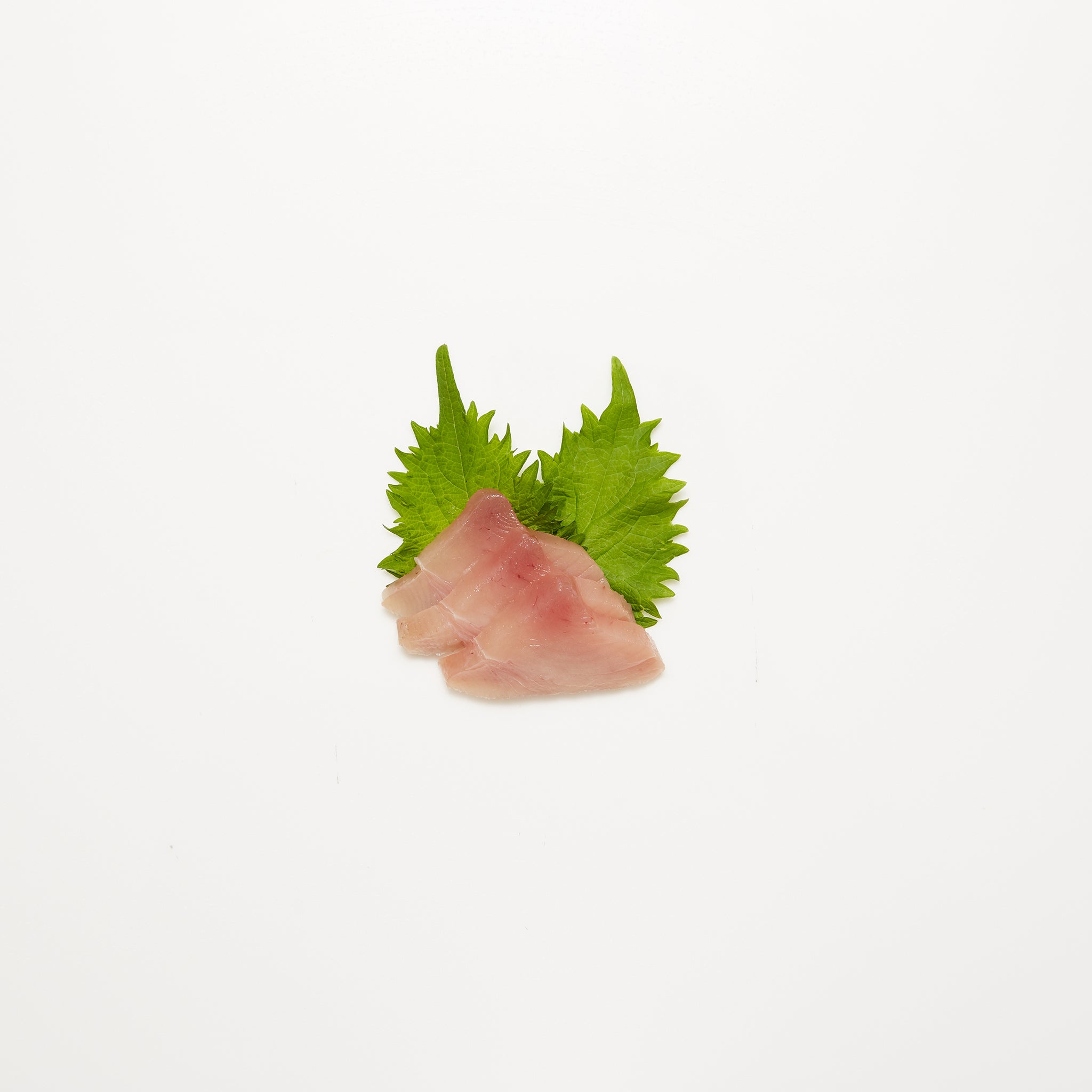 Albacore Tuna available from Golden State Seafood