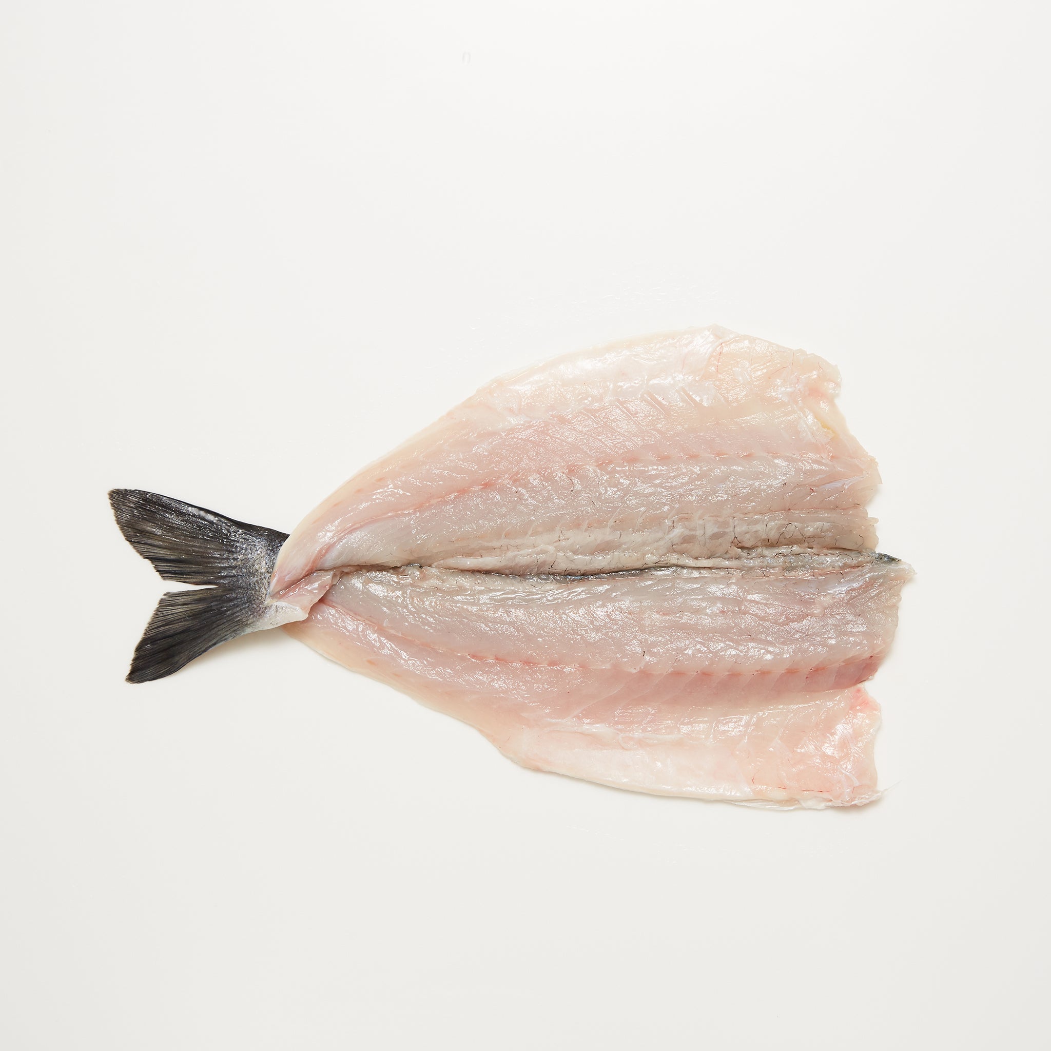 Branzino available from Golden State Seafood