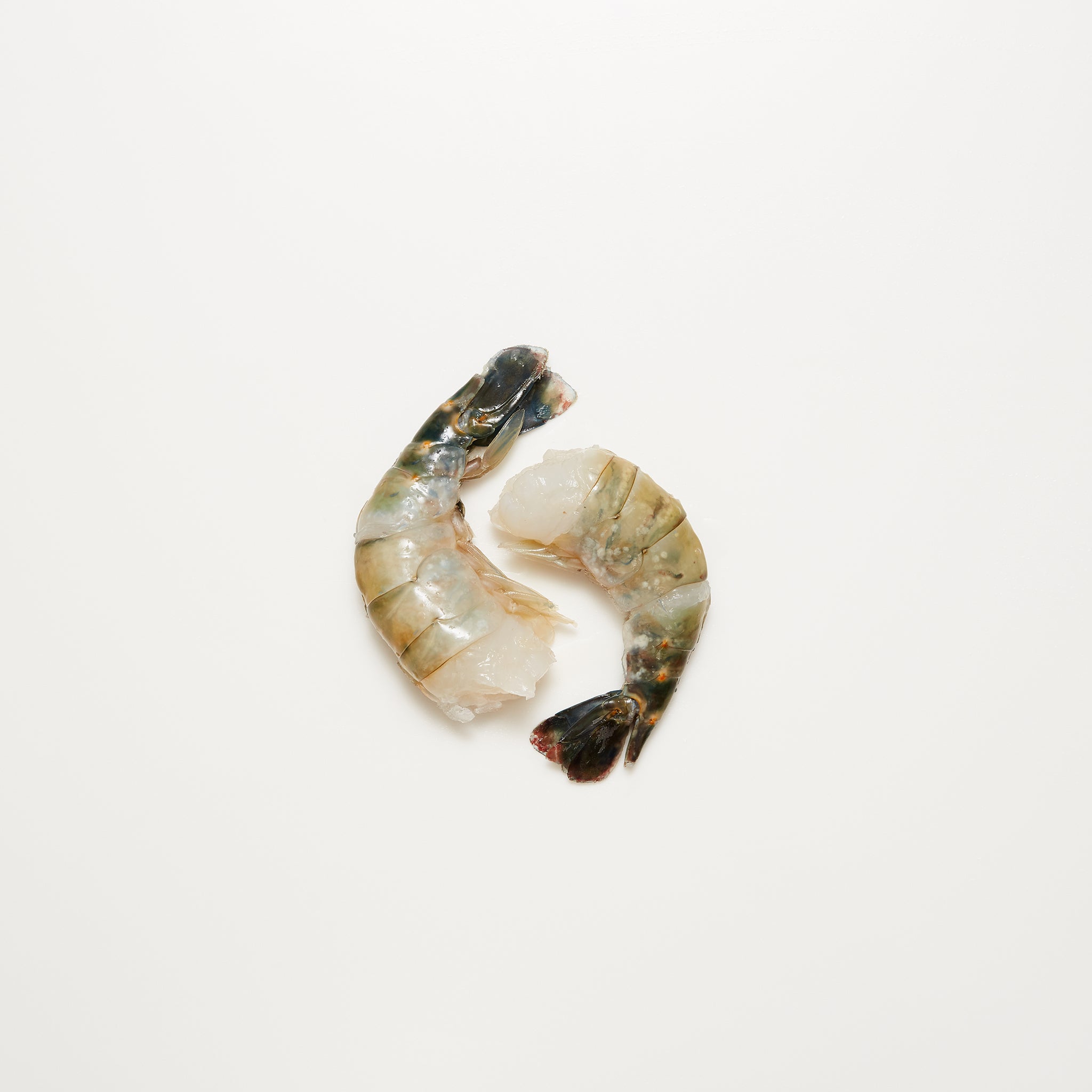 Colossal Prawns available from Golden State Seafood