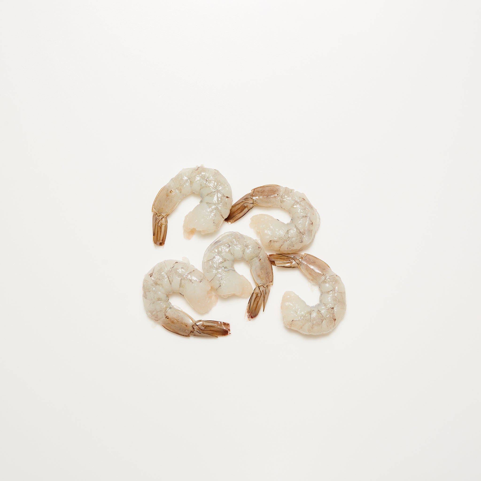Large Shrimp available from Golden State Seafood
