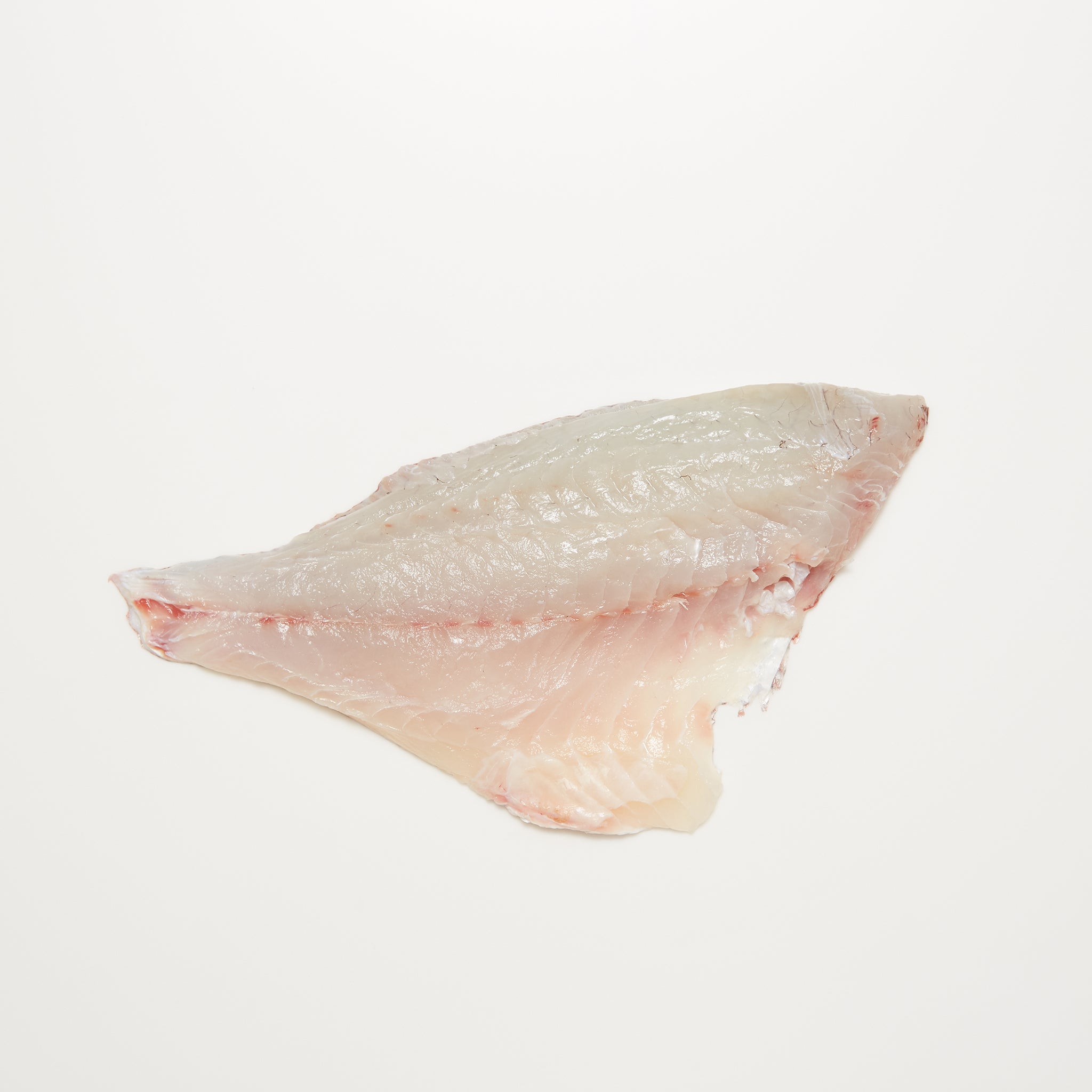 New Zealand Snapper (Sea Bream) available from Golden State Seafood