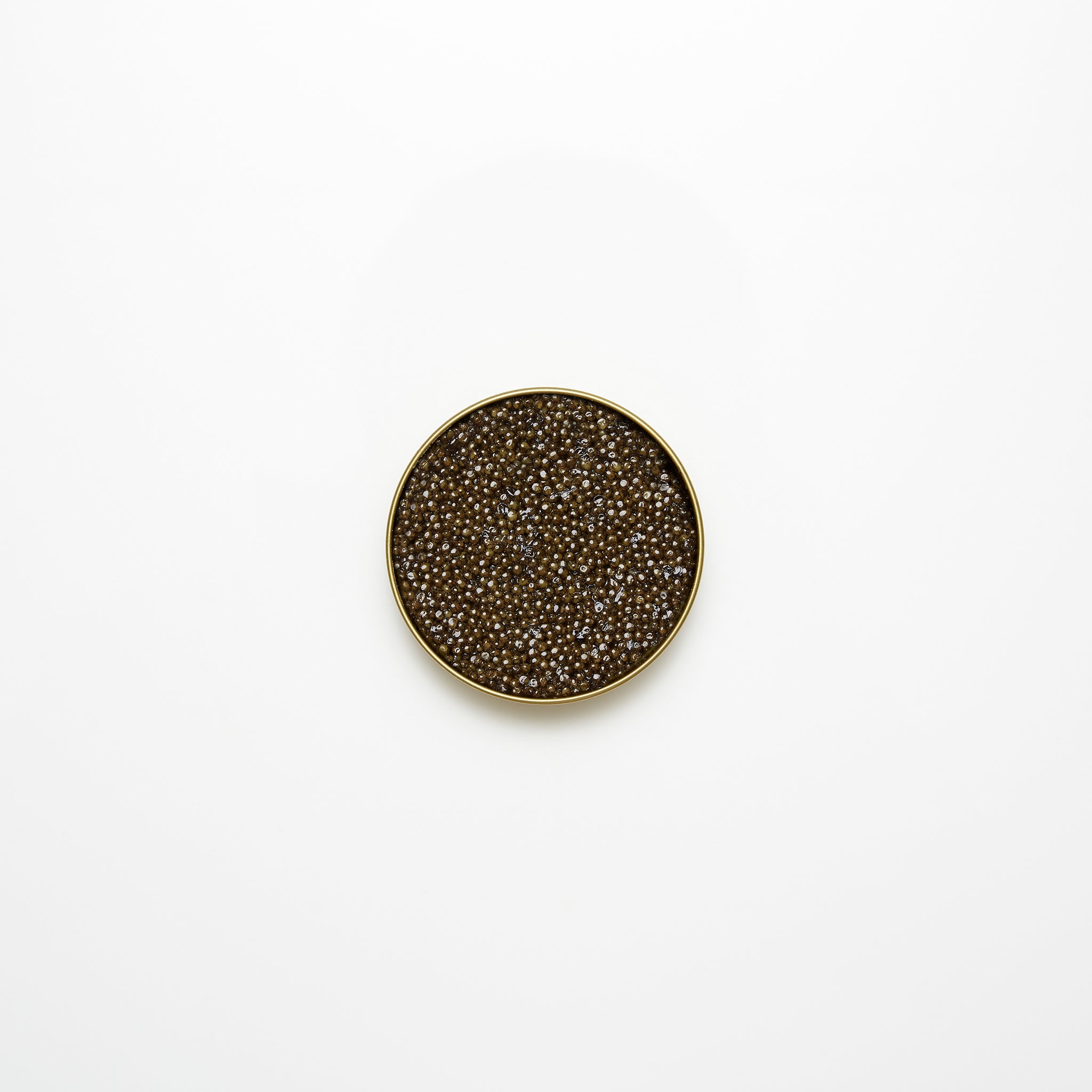 Prestige Kaluga Caviar available from Golden State Seafood