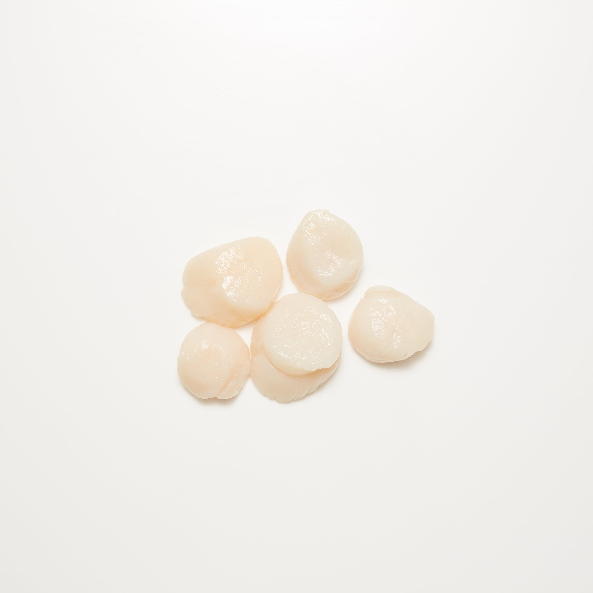 Sea Scallops available from Golden State Seafood