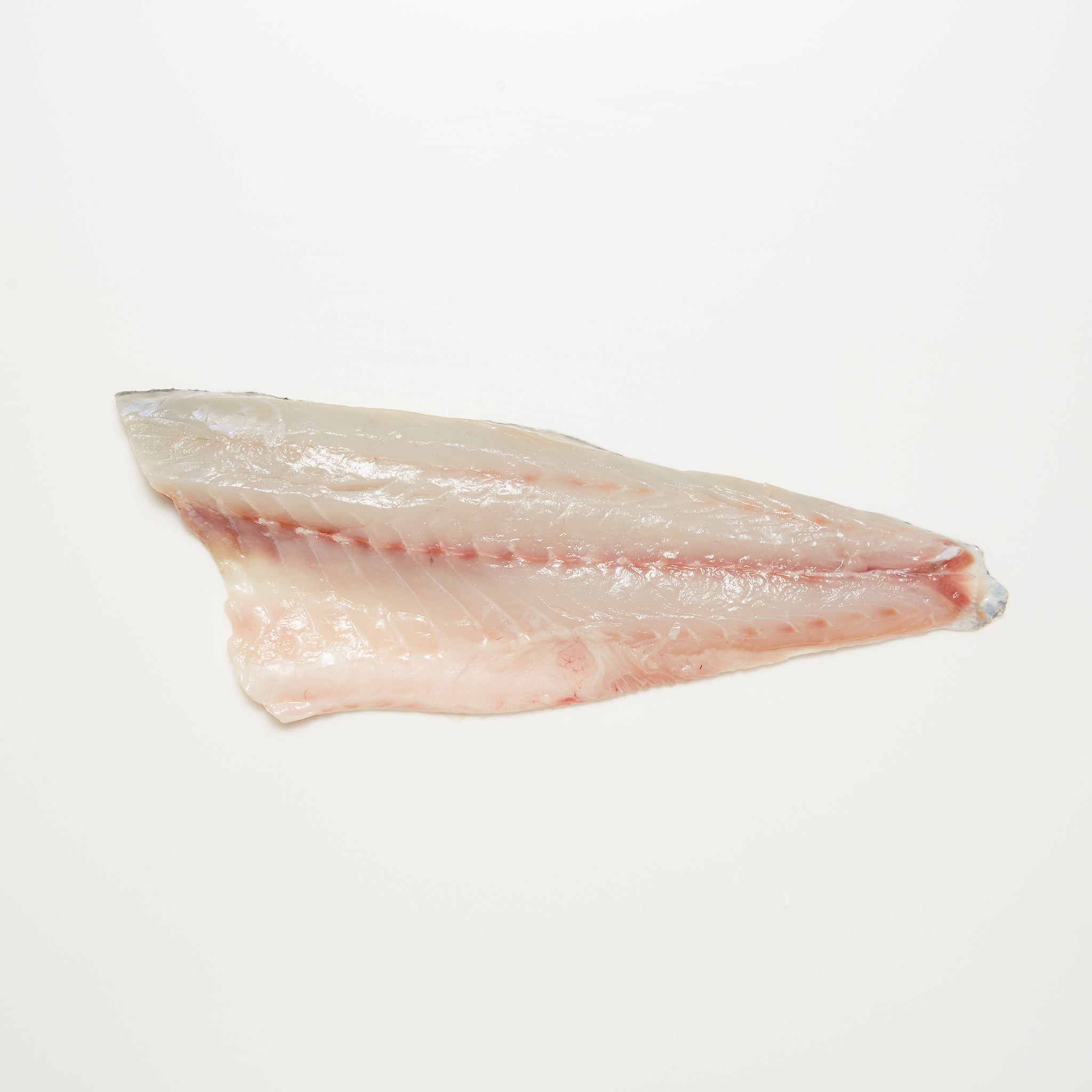 Striped Bass available from Golden State Seafood