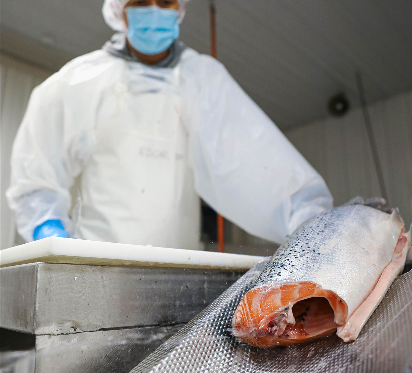 Golden State Seafood facility and service team